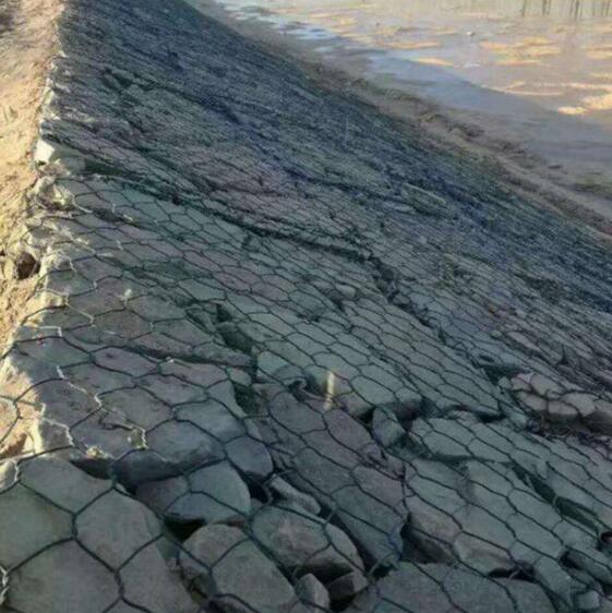 ʯ�\�W15531868633