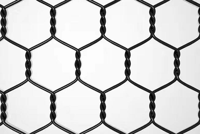 ������ʯ�\�W�Y���ă���