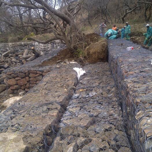 �ӵ��������e�\�W