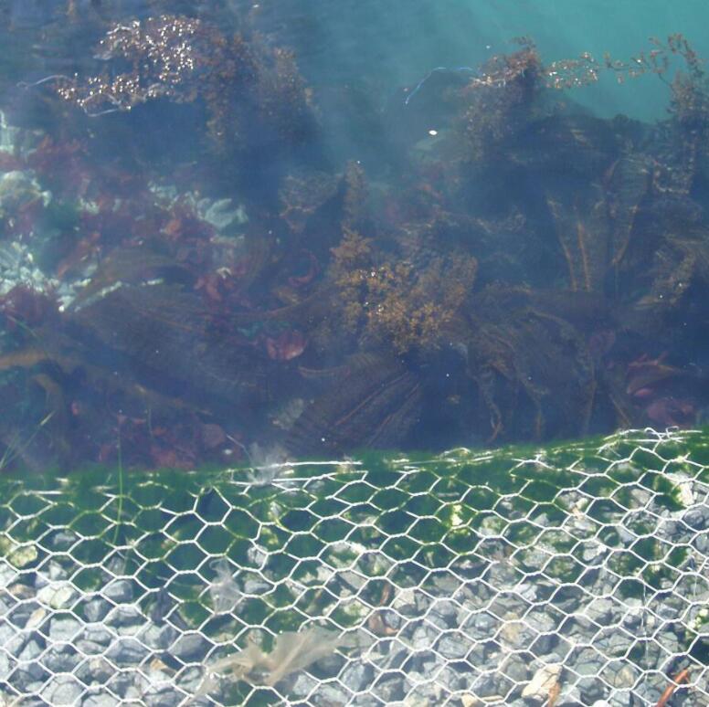 石籠擋墻廠家產品 石籠擋墻廠家產品