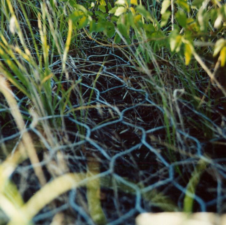 高耐久PE涂塑石籠網產品1 高耐久PE涂塑石籠網產品1