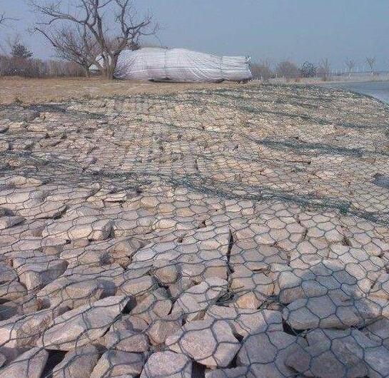 格賓石籠網箱廠家