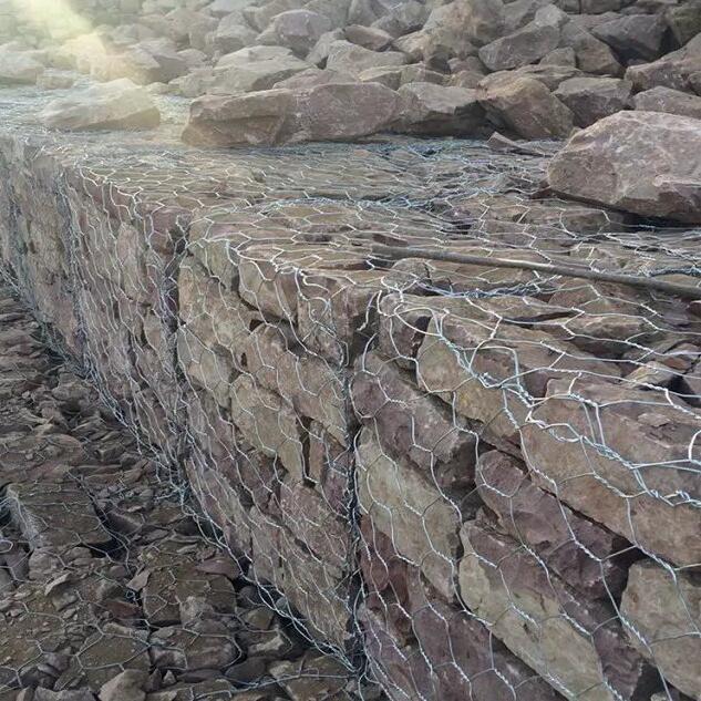 䓽z�W(w��ng)�\�o���W(w��ng)��