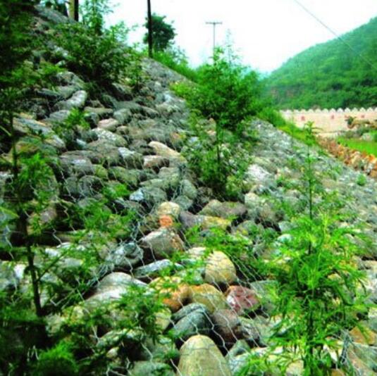 生態(tài)石籠網(wǎng)