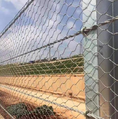 ʯ�\�W�S15531868633