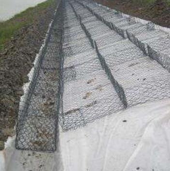 ���e�o�_15531868633