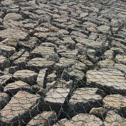 ���B���e�W�o��