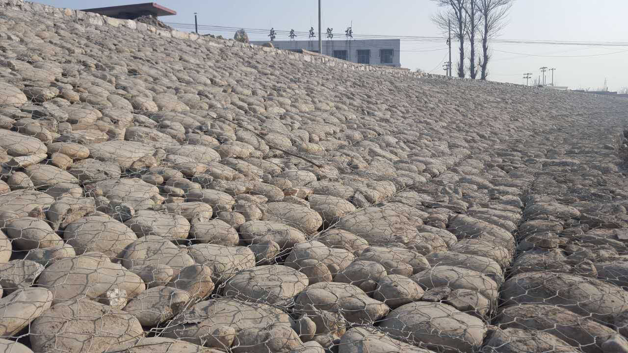 ʯ�\���e�W�S��15531868633